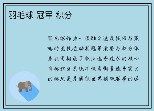 羽毛球 冠军 积分